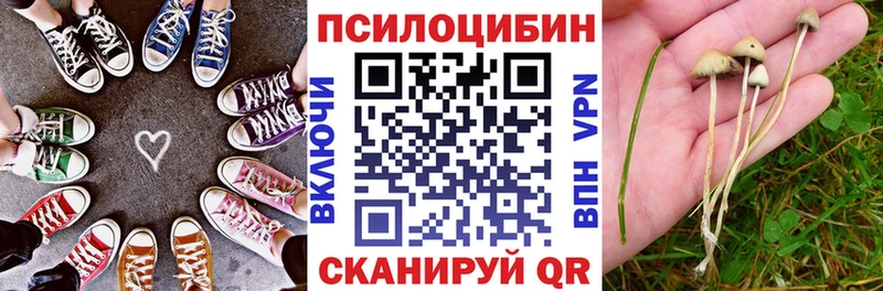 Галлюциногенные грибы Psilocybe Купить Кимры